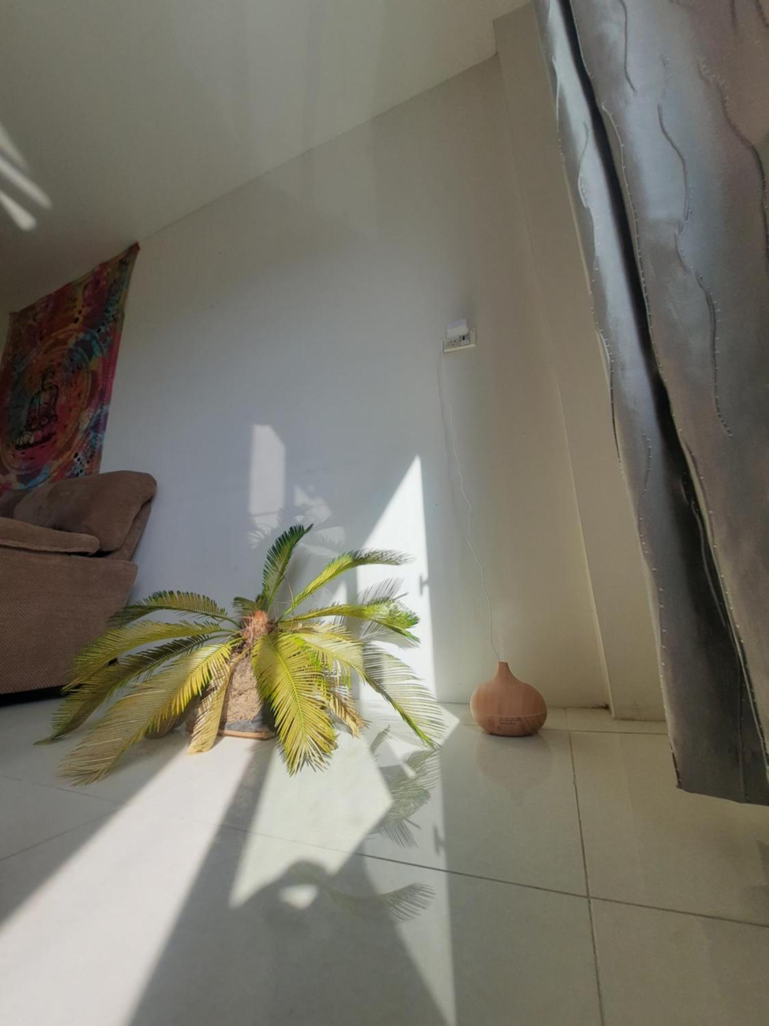 Apartmán Bula Bliss With Sunset View Nadi Exteriér fotografie